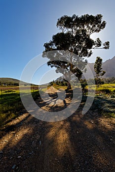 A dirt road leading past trees up to huge, hazy mountains near Worcester, South Africa