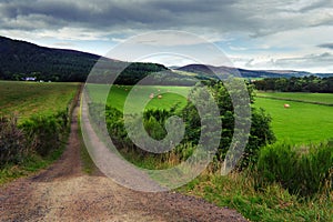 Dirt Road Leading to Farm House in Field