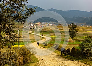 Dirt road leading to Sankhu, Nepal