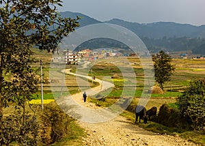 Dirt road leading to Sankhu, Nepal photo