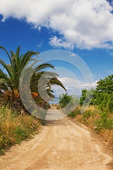 A dirt road leading to a secluded beach in Hanioti