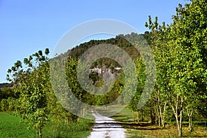 Dirt Road Leads to the Ozark Mountains in Arkansas