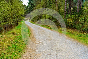 Exploring Llanddwyns Natural Beauty. Newborough north Wales Anglesey photo