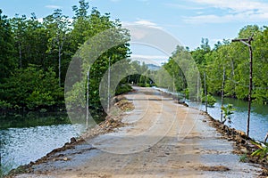 Dirt road in mangrove forest and beautiful sky in Phang Nga,Thailand