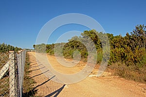 Dirt road through maquis landscape