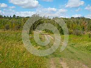 Dirt road through the meadow