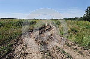 Dirt road in the meadow