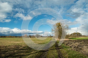 Dirt road through the meadow and clouds in the sky