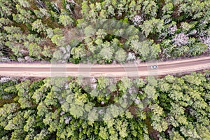 Dirt road in the middle of the green forest. spring landscape. birds eyes view