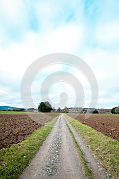 Dirt road in the middle of a tilled field.