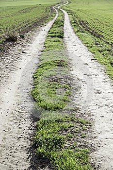 Dirt road mountain