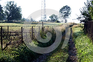 A dirt road in the mountains and an old fence overgrown with tall grass.