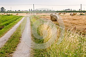 Dirt road near hay bales