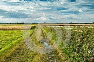 Dirt road next to fields and meadows