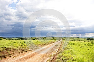 Dirt Road on Nyika Plateau