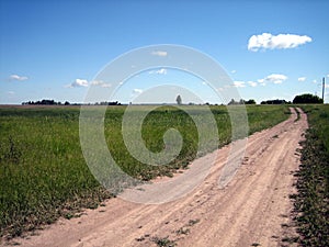 Dirt road in an open field on a clear summer day. Dry earth ruts form a flat, straight rural road. The field is covered with green