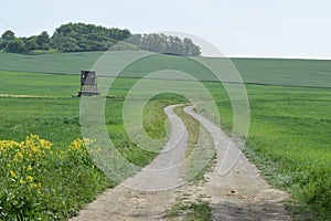 dirt road out of ThÃ¼rer Wiesen to the southern hill