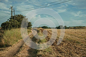 Dirt road over field covered by straw