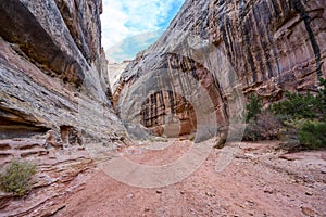 Dirt road passing through red and black rock formations at a national park in Utah