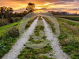 Dirt Road Path Leading to Sunset