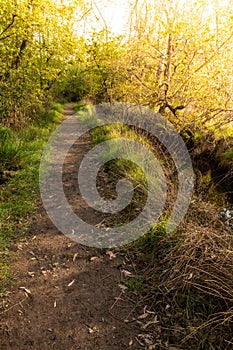 Dirt road pathway in Lagoas de Bertiandos photo