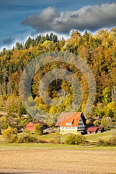 a dirt road with a pile of logs on the side of it and trees in the background on a cloudy day