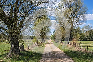 Dirt road in Poland