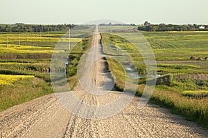 A dirt road through the prairie, Canada