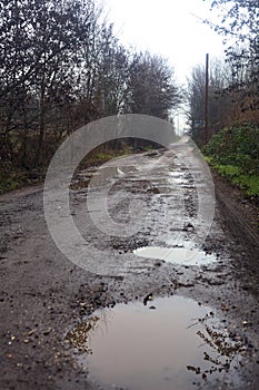 Dirt road with puddles in a grove on a clou day in winter