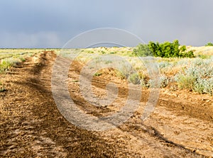 Dirt road after rain