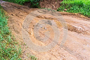 Dirt road after the rain