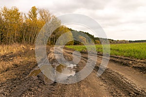 Dirt road after rain