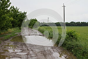 Dirt road after a rain