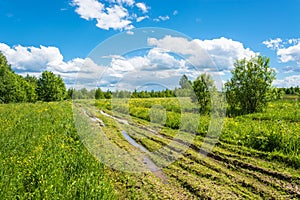 Dirt road after rain.