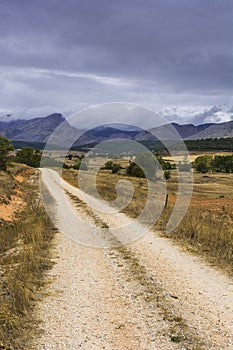 Dirt road on a rainy day