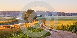 Dirt road on riverbank wild meadow in morning mist panorama. Rural summer landscape