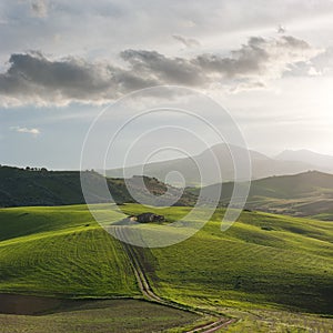 Dirt road and rolling field