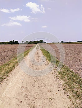 Dirt road rough terrain through farm field rural-road Chemin de terre
camino de tierra image estrada de terra picture photo photo