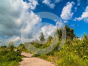 A dirt road runs along the hill