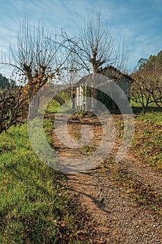 Dirt road on rural landscape with shabby shack