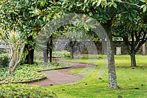 Dirt road in the scenic botanical garden or public parkland