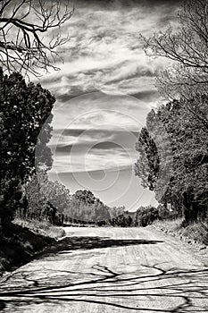 Dirt Road, Shadows, and Clouds