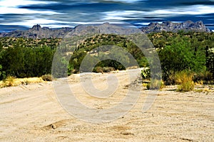 Dirt Road Sonora Desert Arizona