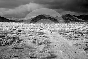 Infrared Sonora Desert Arizona Dirt Road