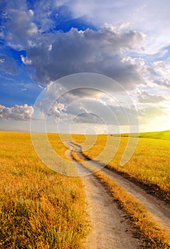 Dirt road in the steppe at dawn