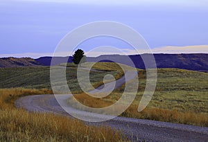 Dirt road sunset