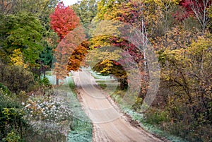 Dirt road surrounded by colorful fall trees