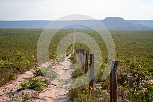 Dirt road surrounded by greenery in Jalapao State Park in the state of Tocantins, Brazil