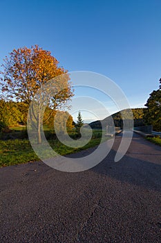 a dirt road surrounded by trees and grass with a blue sky in the background with clouds in the sky