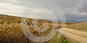 Dirt road thorugh the Andalusian countryside photo